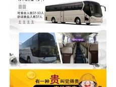 温州租车、商务车旅游大巴、温州租车请电话直接联系谢谢